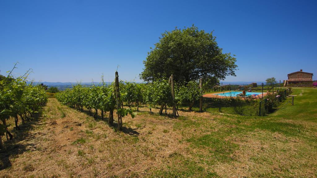 Tenuta Angelici Winery Casa Contea With Pool And Panoramic Pool Cortona Villa Terontola Kamer foto